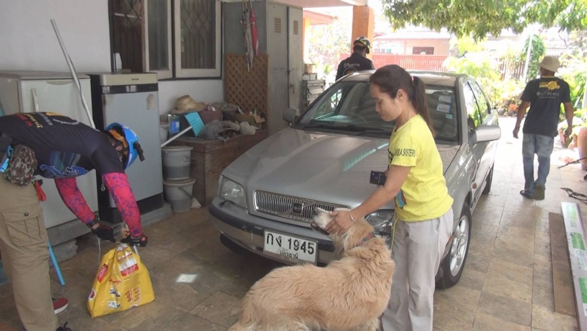 สาวเห็นงูเลื้อยหน้ารถ