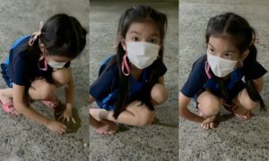 เล่นดีดลูกแก้ว โพล่งตัวเลขออกมา