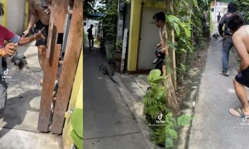ลุ้นเลขงวดนี้
