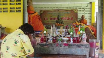 จอมปลวกยักษ์โผล่ เลขชัดมาก