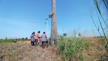 ขอโชคต้นชาด