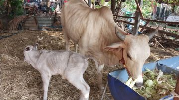 ลุ้นเลขเด็ดงวดนี้ รีบส่องเลข