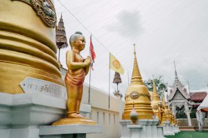 เว็บดูบอลสดฟรี