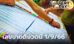 เช็กเลขเด็ดขายดี